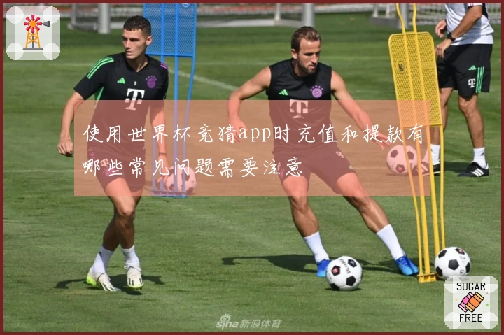 使用世界杯竞猜app时充值和提款有哪些常见问题需要注意