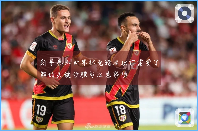 新手参加世界杯竞猜活动前需要了解的关键步骤与注意事项