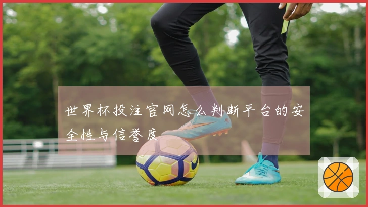 世界杯投注官网怎么判断平台的安全性与信誉度