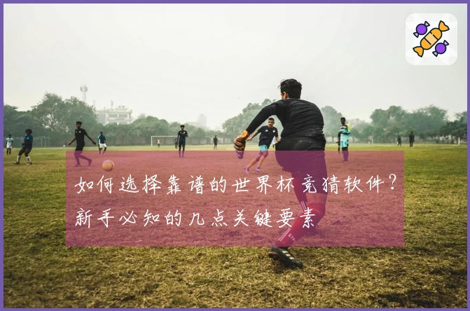 如何选择靠谱的世界杯竞猜软件？新手必知的几点关键要素